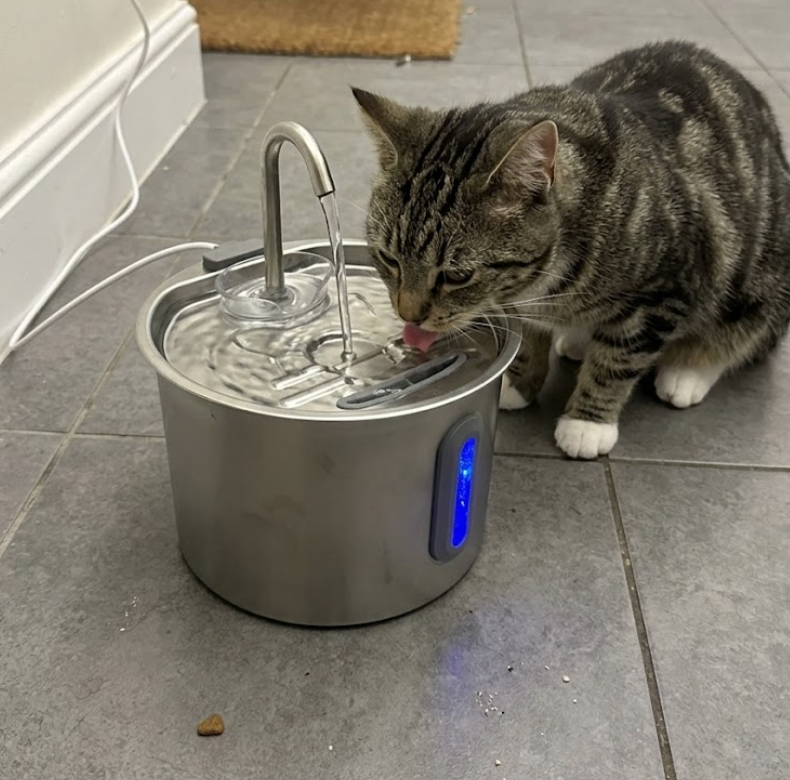 Fresh & Pure Cat Filter Kit
